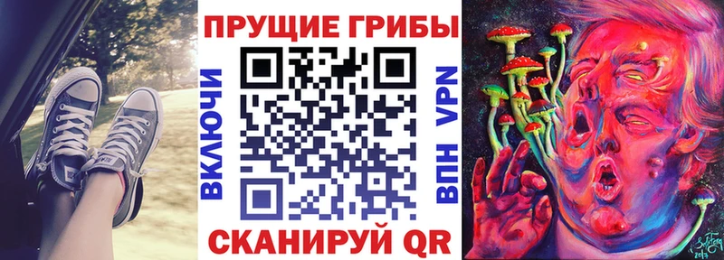Галлюциногенные грибы мицелий Долгопрудный